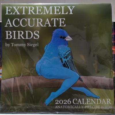 Blocnotesuri și carnete – Calendare