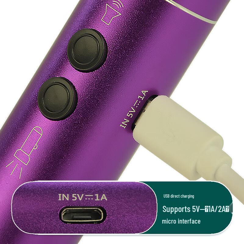 Beirong Rechargeable Electronic Whistle