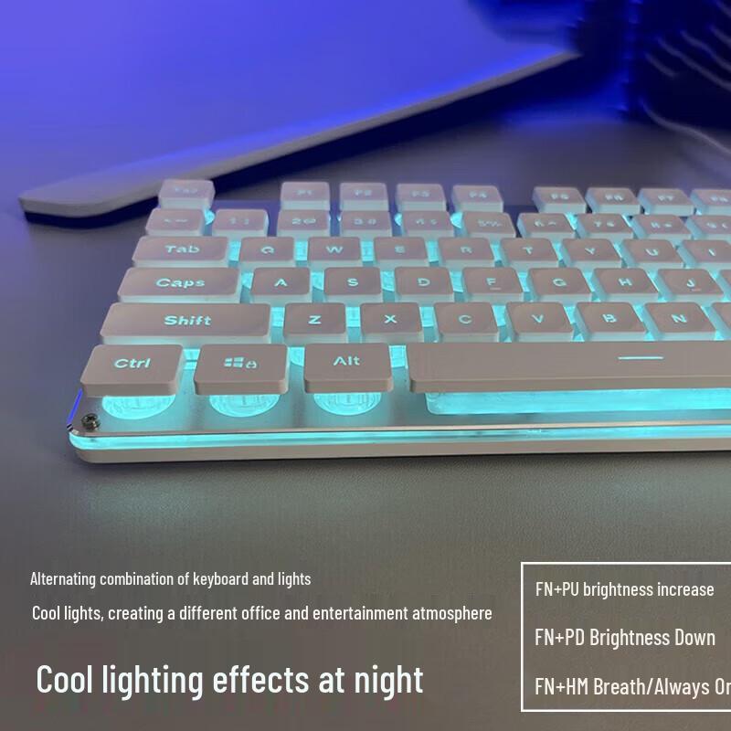 Wireless Office Keyboard with Mechanical Feel