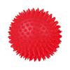 Dog Pointy Ball Toy (random Delivery)