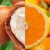 Argan And Orange Home Fragrance Diffuser 90 Days Freshener Sticks 250Ml