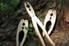 Nail Massage Tool Made from Domestic Thinned Wood for Nail (medium Size) [Tool Massage]