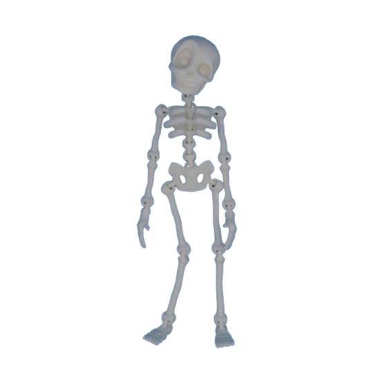 Poseable Skeleton Fridge Magnet 3D Printed Articulated Full Body Skeleton with Movable Joints Halloween Mini Skull Fridge Magnets for Home Decor