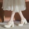 Fashion Ladies Shoes 2025 Mary Janes Women's High Heels Fashion Dress Pumps Women Round Toe Shallow Chunky Heels Shoes Women Zapatos