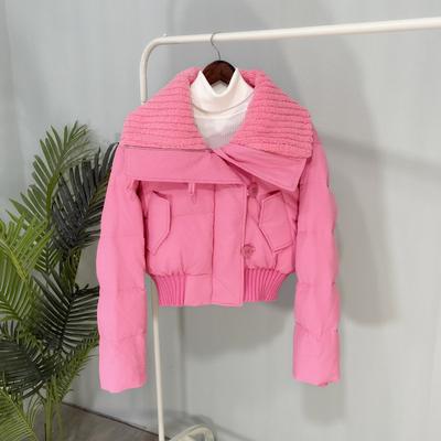 Nouveaux Vêtements Rembourrés en Coton pour Femmes, Veste Courte d'Hiver Style Coréen Ample Petite Veste Épaisse Design Veste Rembourrée en Coton