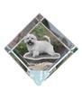 Norwich Terrier – Crystal Cube with a Photo, Photo of a Horse In Crystal |