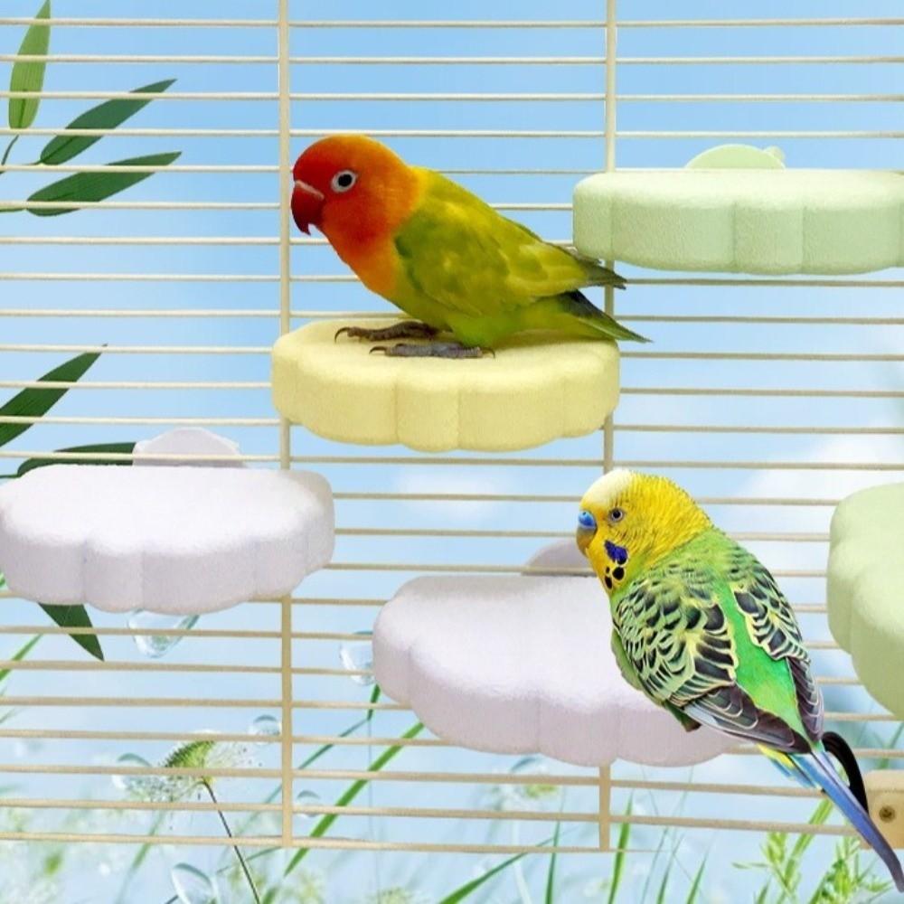 Wear Resistant Bird Resting Platform Bite Resistant Beak Grinding Stand Claw Sharpener  Sun Conure