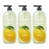 The Natural Lemon Body Wash 900g