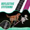 1.6ft Long Dual Dog Leash Attachment - Double Leashes for Training Small To Large Dogs - Adjustable Strap Shock Absorbing Bungee