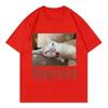 Ibuprofen Funny Cat Meme Graphic Printed T Shirts Women Clothing Fashion Cute Short Sleeve T-shirt Casual Women T-shirts