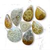 Designer Polished Natural Fossil Coral Cabochon, Loose Cabochon Lot, Mix Lot, Healing Gemstone Lot For Jewelry Making.