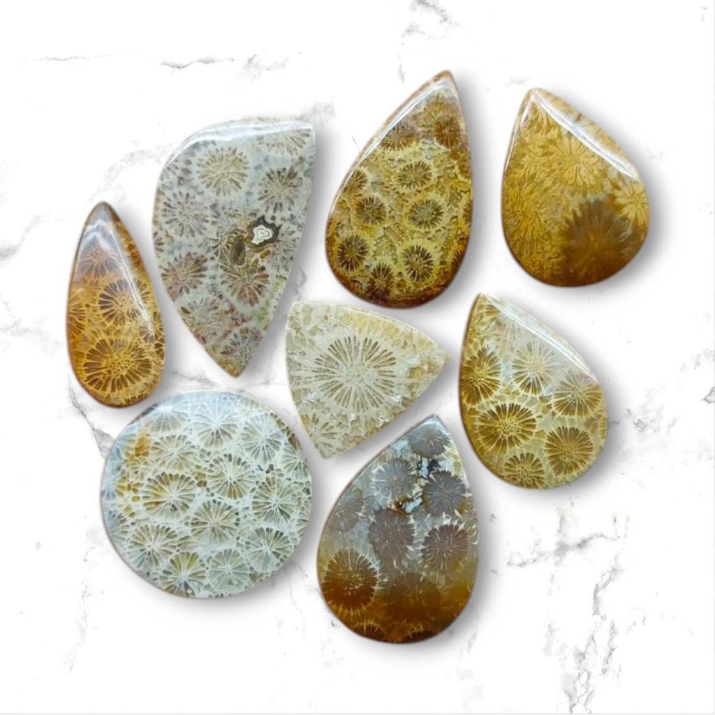 Designer Polished Natural Fossil Coral Cabochon, Loose Cabochon Lot, Mix Lot, Healing Gemstone Lot For Jewelry Making.
