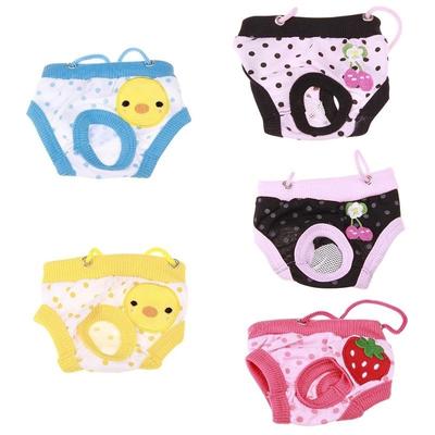 Menstruation Tiere Menstruation Tiere
