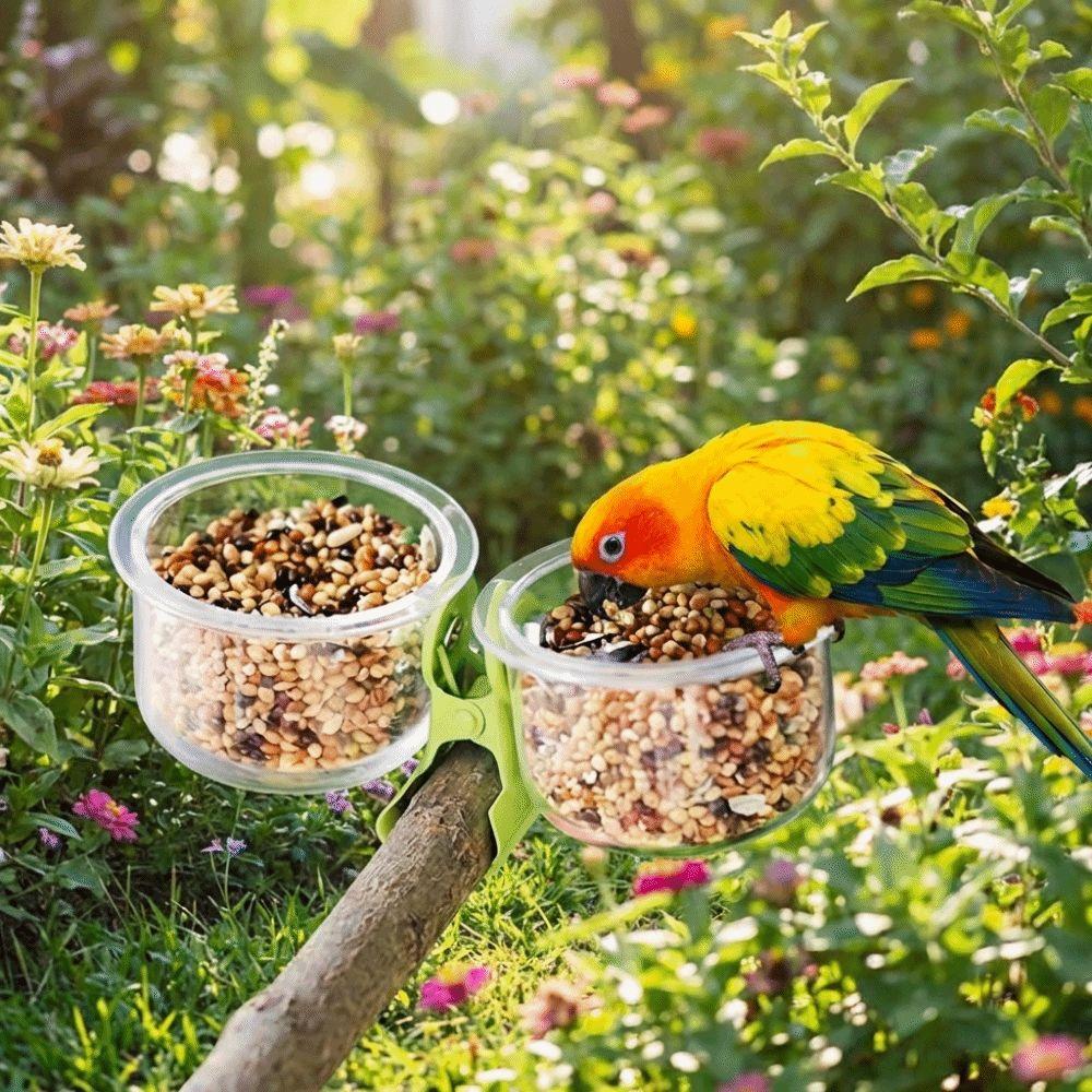 With Clip Parrot Food Bowl Transparent Feeder Cup Bird Perch Stand Water Bowl Small Pet Bird
