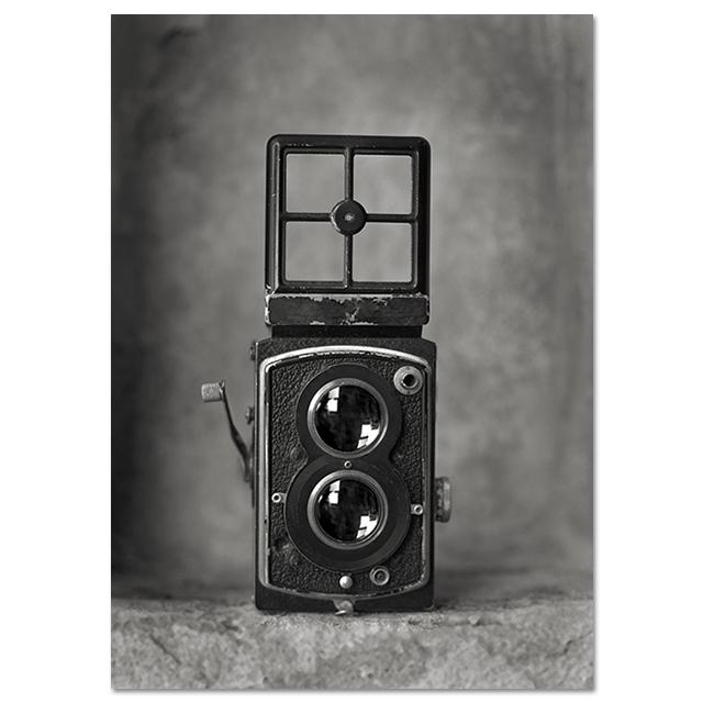Vintage-Mode Kunst Poster Und Druck Sexy Frau Auto Kamera Prinz Nordic Dekoration David Porträt Leinwand Malerei Wand Bilder