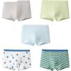 Balabala Kids' Cotton Boxer Briefs 5-Pack