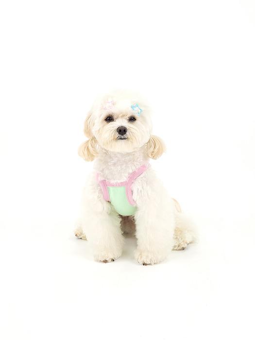 

KINIKINI [Kinikini X Up Up] TWINKLE CHICHI CROP TOP-GREEN (Crop Top) M