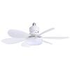 52CM LED Ceiling Fan Light with Six Removable Blades and Remote-Controlled Three-Speed Settings