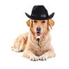 Decoration Cowboy Hat Photo Prop Pet Products Cat Cowboy Hat Dog Hat Dog Costume Pet Supplies