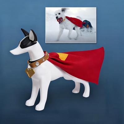 Set costume da supereroe per cani, mantello da supereroe con targhetta identificativa per il collare, travestimento per animali domestici, ideale per cani e gatti, perfetto per divertenti giochi di ruolo e feste in maschera.