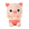 Strap Pig Doll Rag Doll Couple Plush Toy Girls Sleeping Pillow Super Soft Doll Birthday Gift