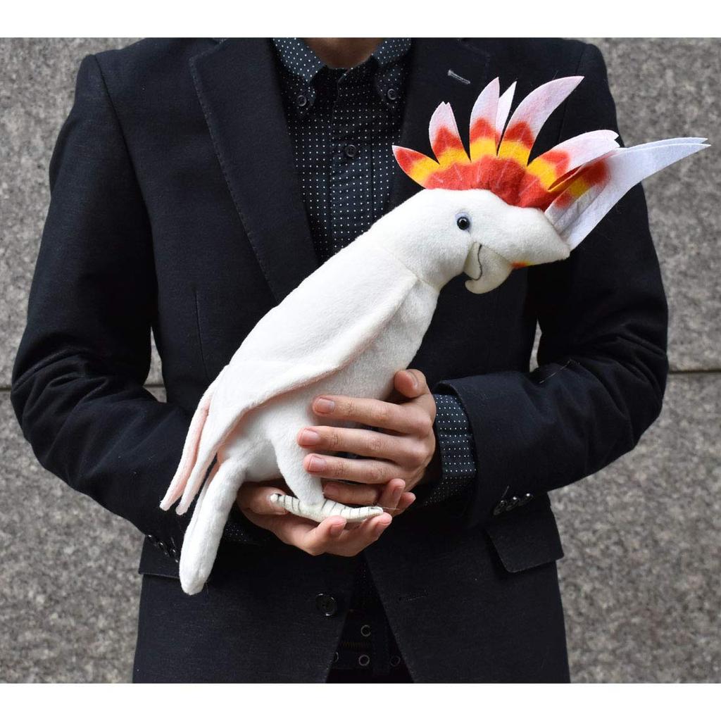 BH7641 HANSA Какаду 32