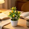 Artificial Lemon Tree Potted Plants Small Fake Yellow Lemons Citrus Tree Faux Fruit Greenery Bonsai Decoration for Indoor Home Office