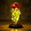 Rose glowing in glass, LED, eternal, pink, battery, proposal, wedding, name day