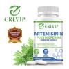 120 st Artemisinin 100 mg-Sötmalarört,BioPerin-Tarmhälsa,Icke-GMO,Glutenfri