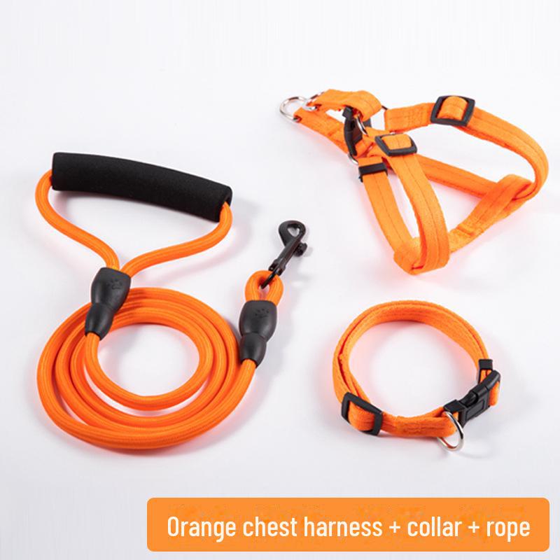 Adjustable Dog Leash and Collar Set for Small, Medium, and Large Dogs - Ideal for Walking Pets like Teddy and Golden Retriever