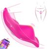 APP Bluetooth Control Wearable Vibrator For Women Clitoris Stimulator Vagina Massager Female Masturbator Panties Adult Sex Toys