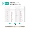 Kutsuwa 4-Section Pencil Board (Shitajiki), White