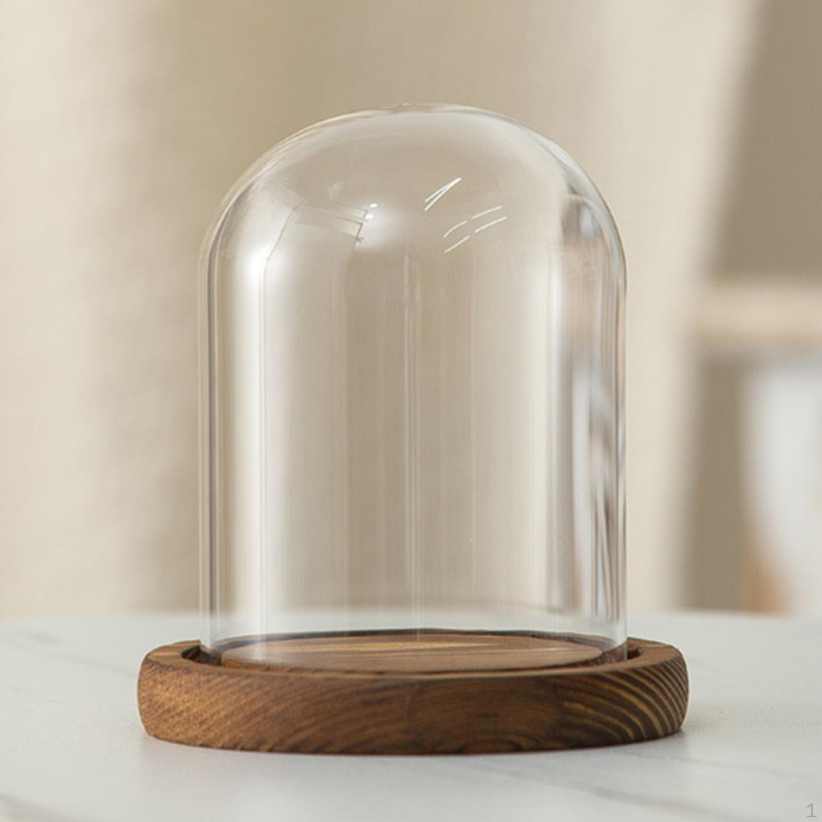 

Прозрачный стеклянный колпак-колокол диаметром 3,5 дюйма с прозрачной крышкой, круглый настольный шкаф-витрина с деревянным основанием Style A