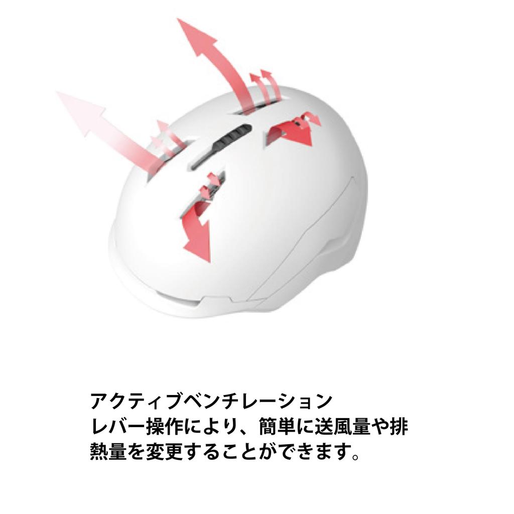 Salomon DRIVER PRIME SIGMA PLUS Helmet Black Ski/Snowboard (2023-24 Model), Unisex, L47010900, Small,