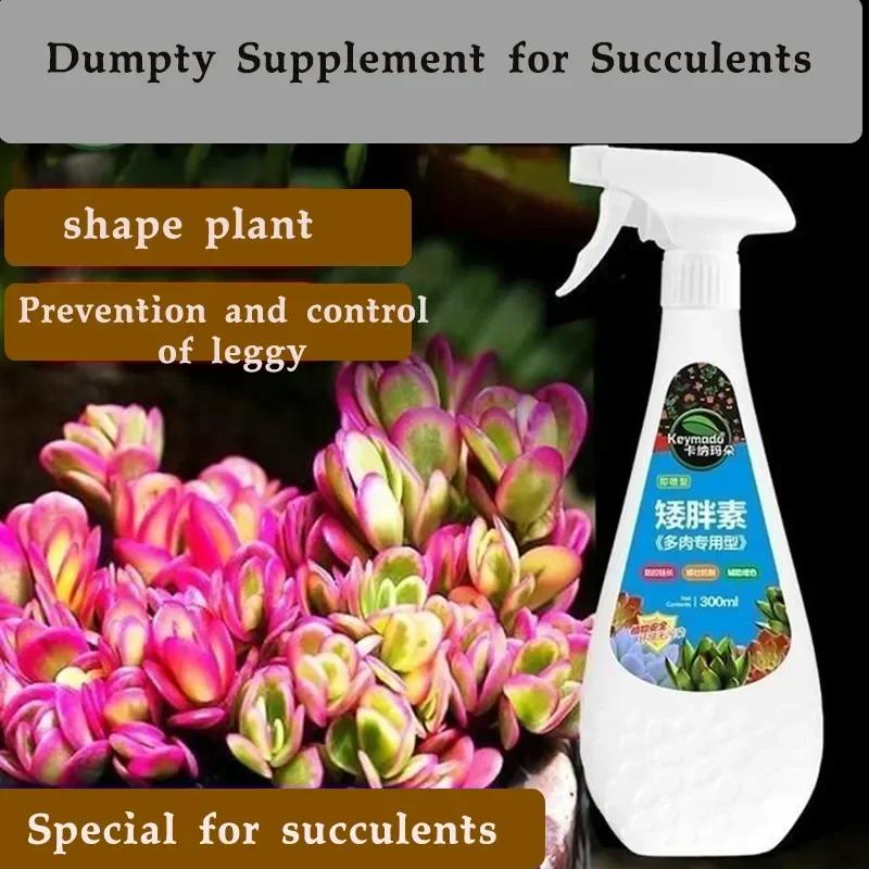 Sukulentní rostlina Eugenin podporuje rašení, zakrslý, zabraňuje vytahování, organické granule, sukulent a sukulent 300 ml
