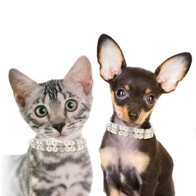 Cat Pearl Collars With Crystal Rhinestone Pearl Pet Cat Necklace Adjustable PU Leather Neck Strap For Small Dogs Cat Accessories