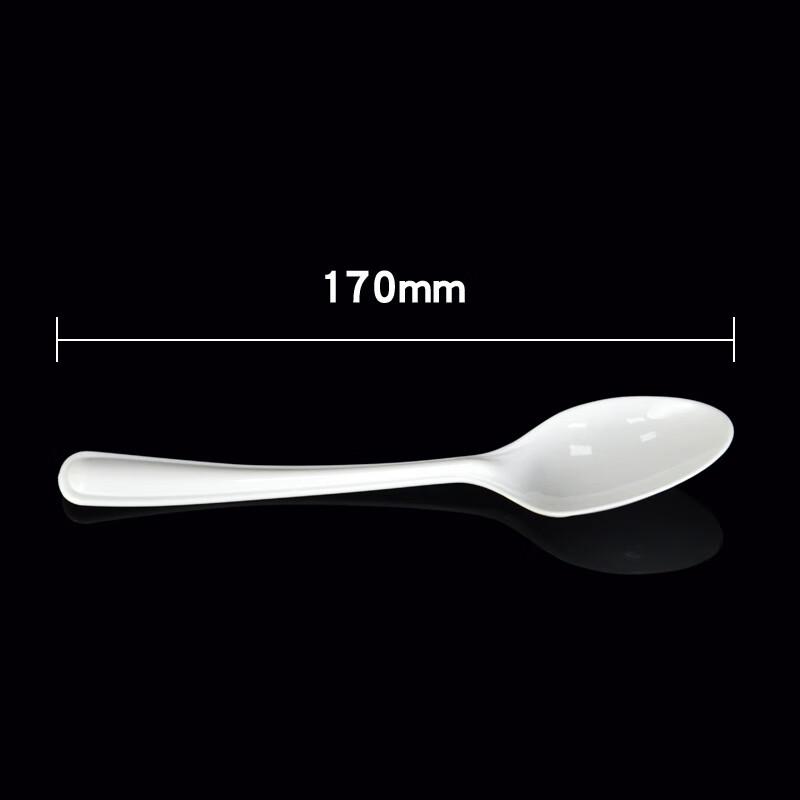 WS Disposable Plastic Spoons