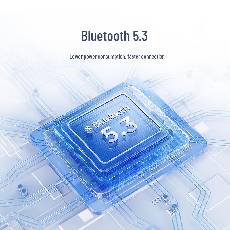 1MORE Q20 True Wireless Active Noise Cancelling Earbuds