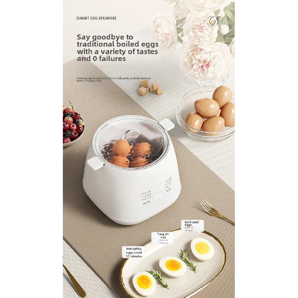 Mini Multifunctional Home Use Automatic Shutdown Egg Boiler 110V Pre-Timed Breakfast Egg Cooker Small Personalized Motorcycle Eq