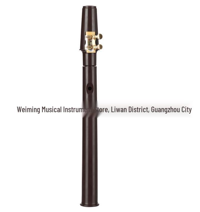 Mini Portable Pocket Saxophone Recorder