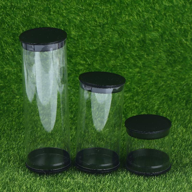 Portable Golf Container Case Golf Ball Tube Pc Transparent Round Plastic Packaging Box Various Specifications Balls Gift Box