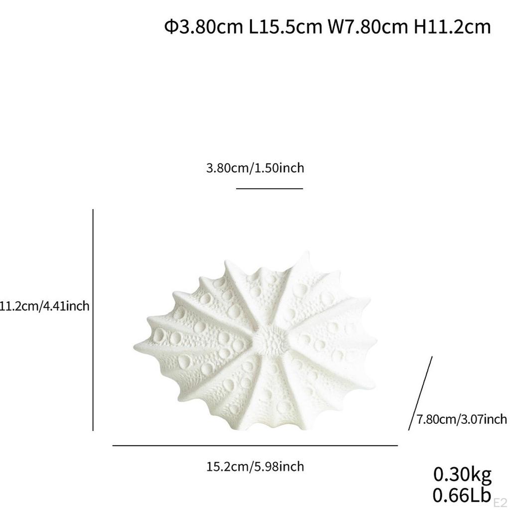 Ceramic Flower Holder for Home , Shell Design Office And Living Areas
