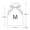 PE Gift Bag with Ribbon Mint stripe-M (20 Pieces) MTS-RBM