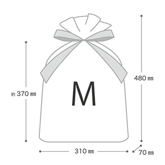 PE Gift Bag with Ribbon Mint stripe-M (20 Pieces) MTS-RBM