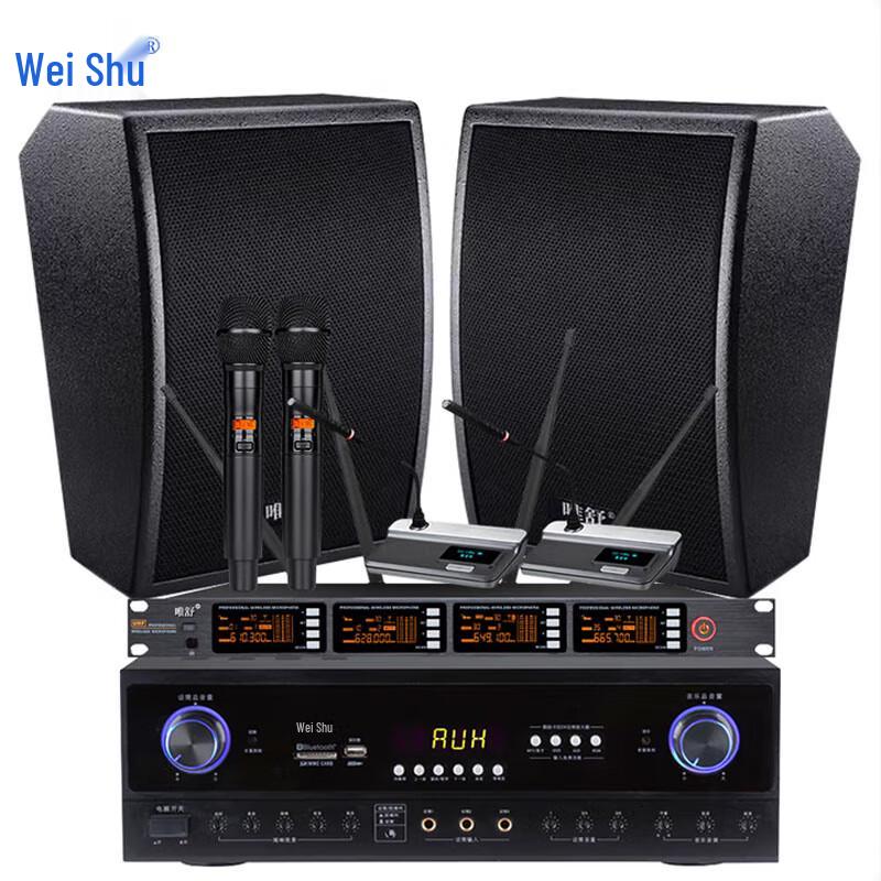 Weishu BM-8 10-inch Wall-Mounted Passive Speaker System