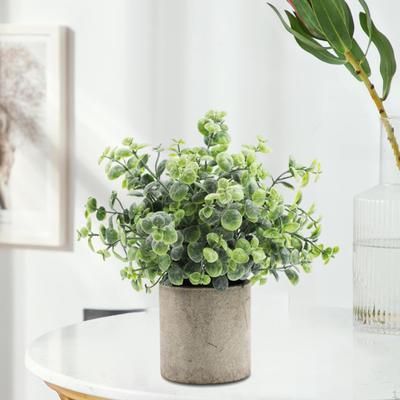 Mini-Topf-Dekoration mit kleinem Grün für Innenräume, Zuhause, Bauernhaus, Schlafzimmerregal, Schreibtisch, Badezimmer