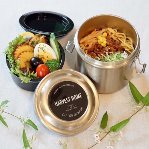 Skater Thermal Lunch Box My Neighbor Totoro Marching Studio Ghibli 600ml Bowl Type Antibacterial Vacuum Stainless Steel STLB1AG-A