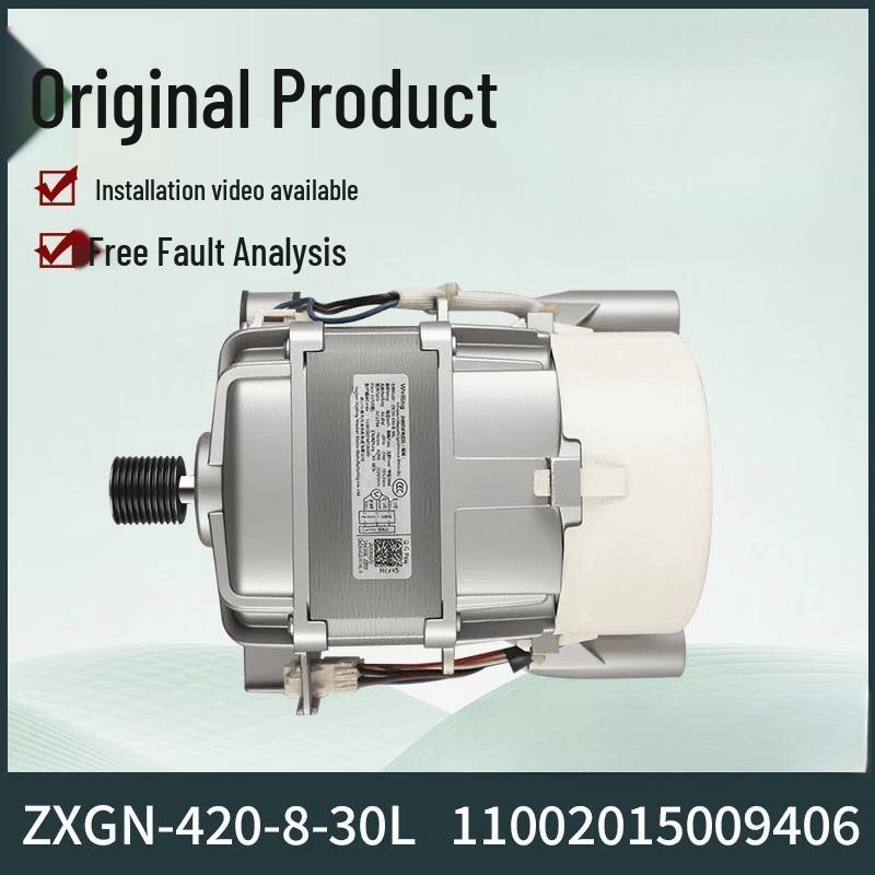 Washing Machine Inverter Motor