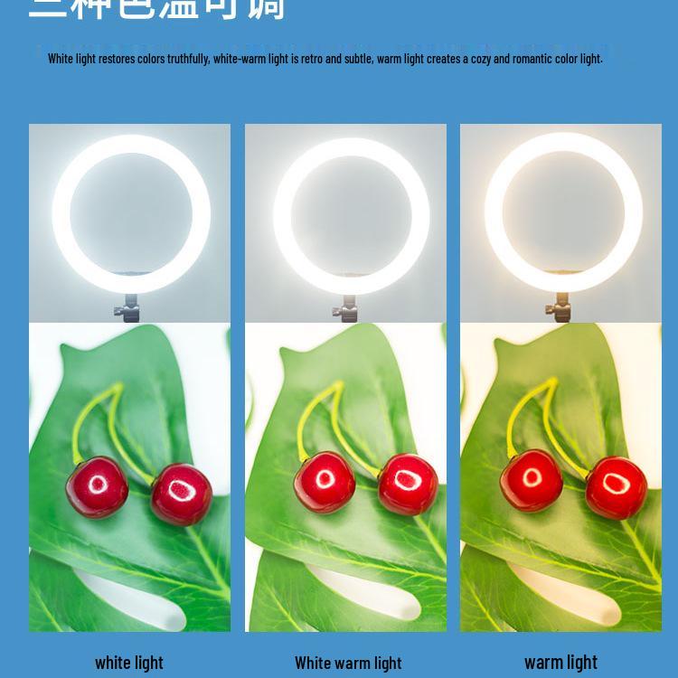 LED Fill Light for Photography: Desktop Small Still Life & Indoor Atmosphere Lighting Prop.
