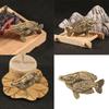 Animal Statues Figurines Retro Fish Statue Figurines Sculptures Tabletop Centerpieces Home Decors Collectibles Figurines